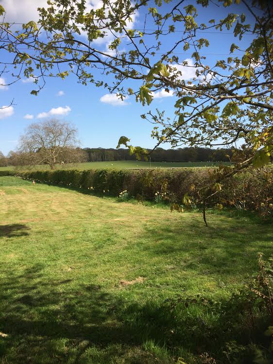 The Gate Lodge Campsite Tenterden Kent Gallery