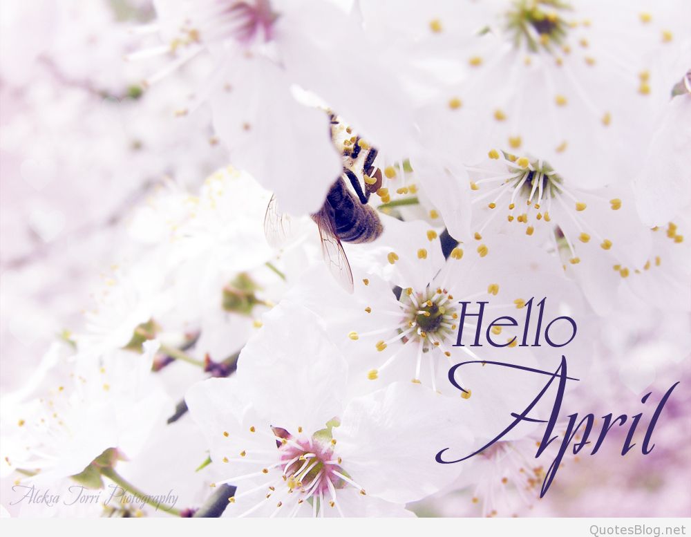 Привет апрель картинки с надписями. Привет апрель. Хелло апрель. Hello April картинки. Стильные апрельские открытки.