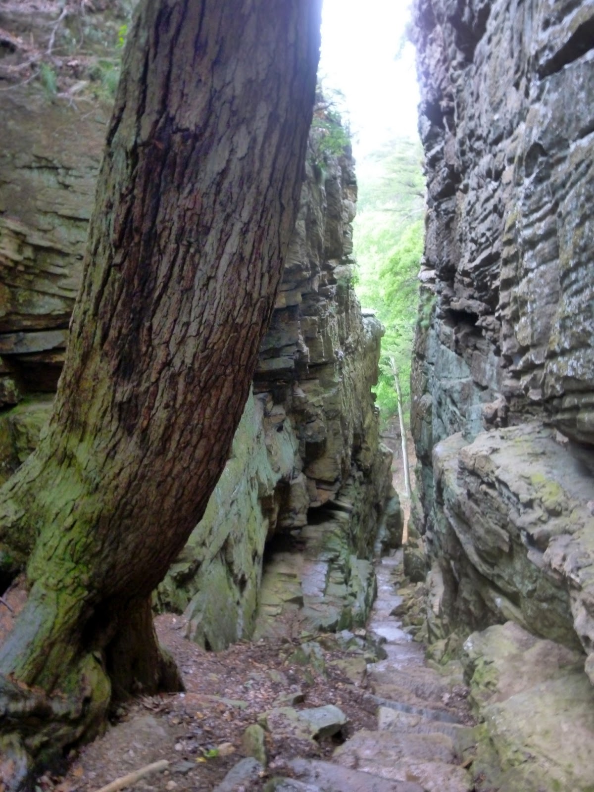 American Travel Journal Laurel Falls And Great Stone Door