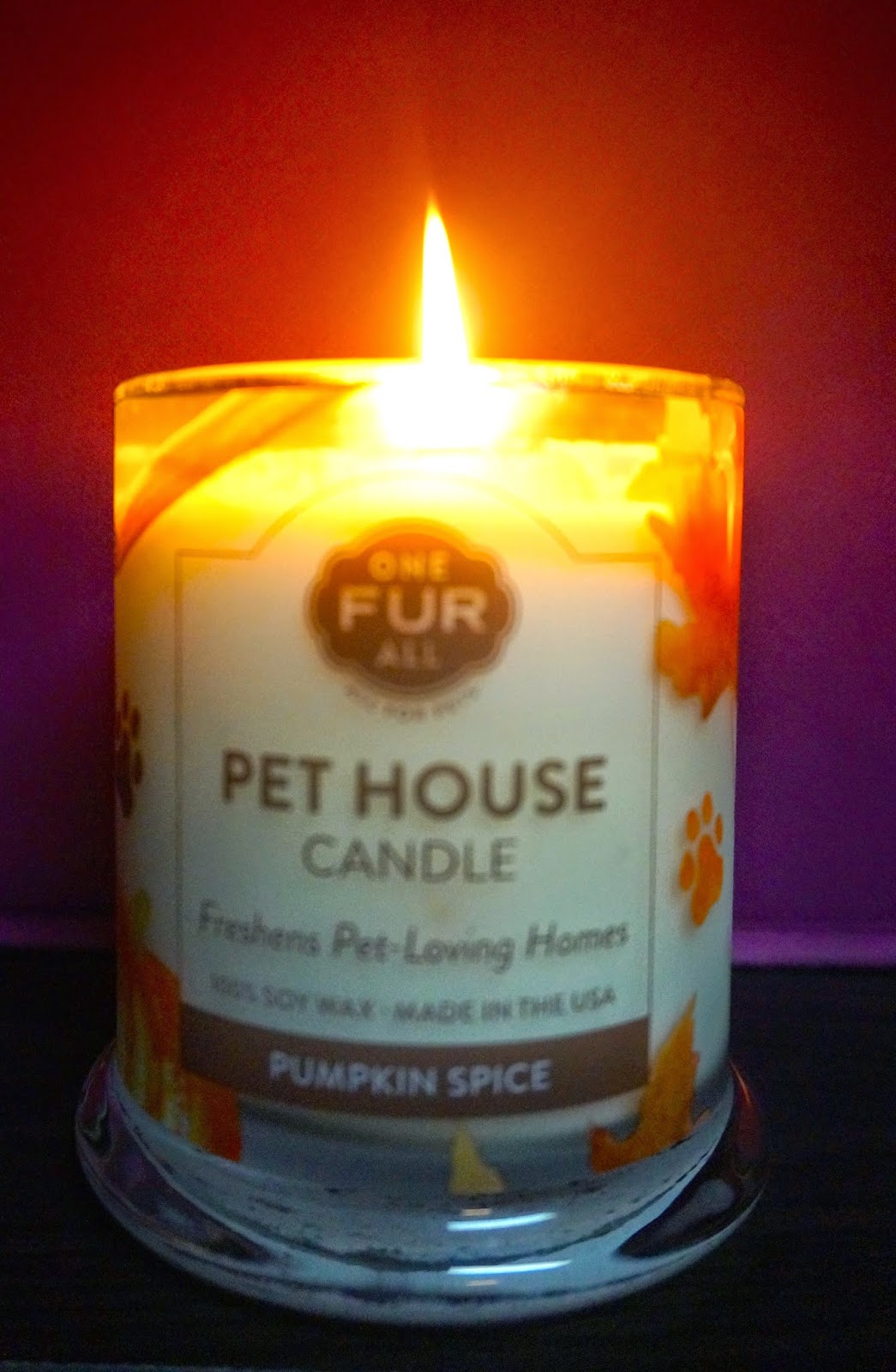 Pet House Candle Gift Idea