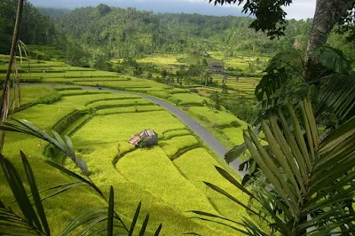 Sumber Daya Alam Pulau Bali dan Nusa Tenggara