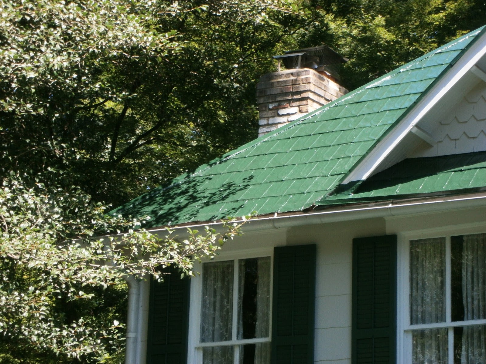 Tin roofing projects Washington, DC, area green roof