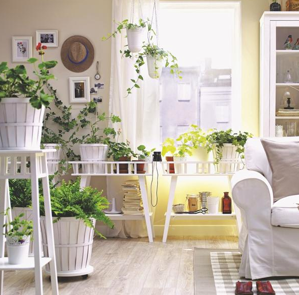 Las plantas te dan sensación de tranquilidad y positivismo