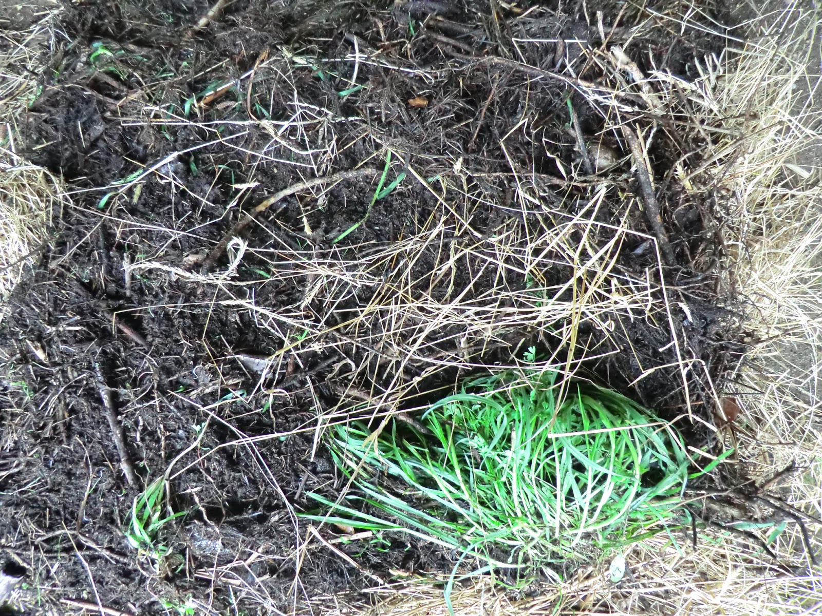 Con vistas al huerto
