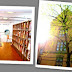 Mediateket onsdagen 18 oktober