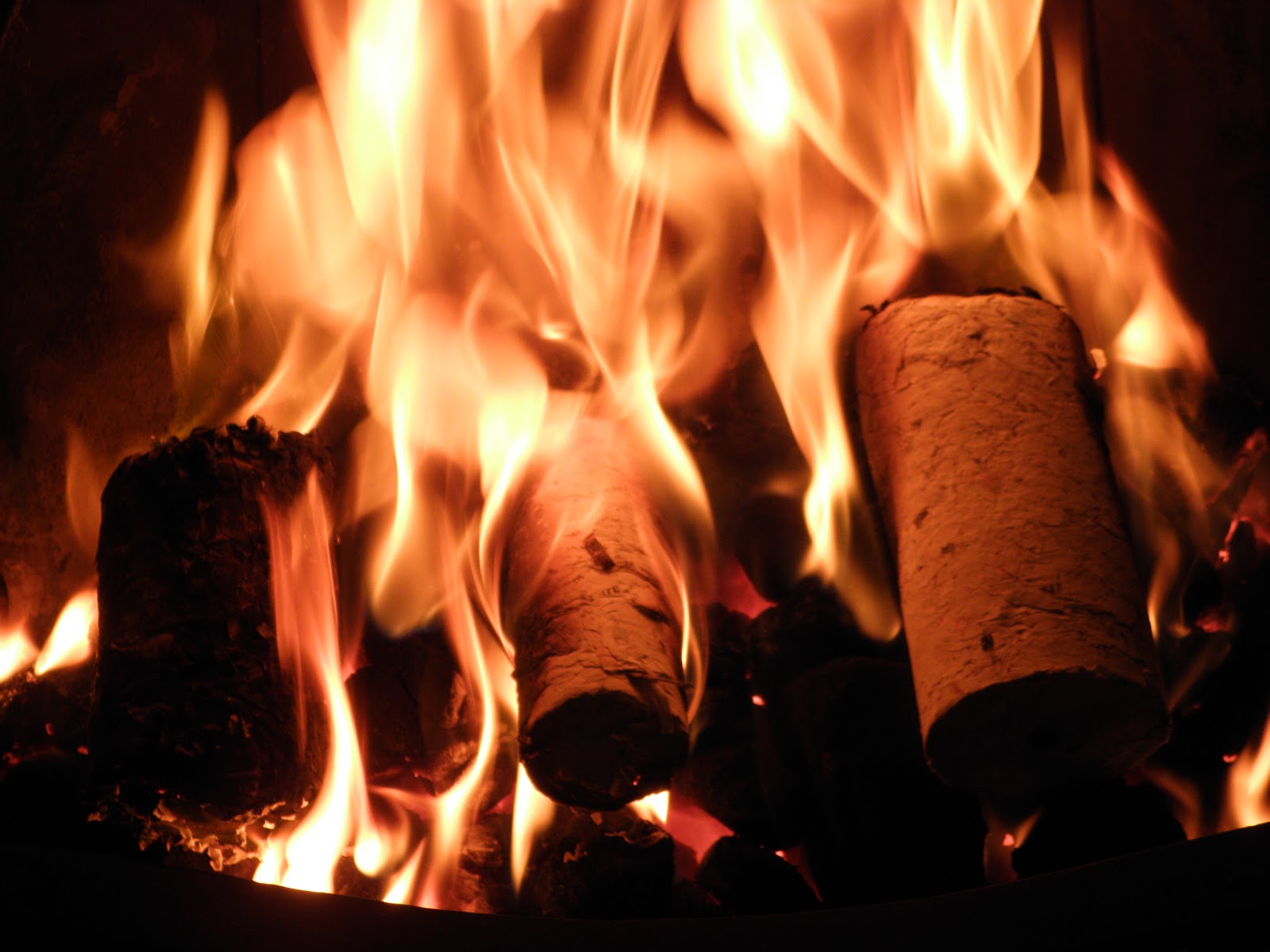 Where eagles fear to perch paper logs briquettes solid fuel for free