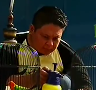 Cara Memandikan Lovebird Yang Benar Pada Pagi Hari Cara Memandikan Lovebird Yang Benar Pada Pagi Hari