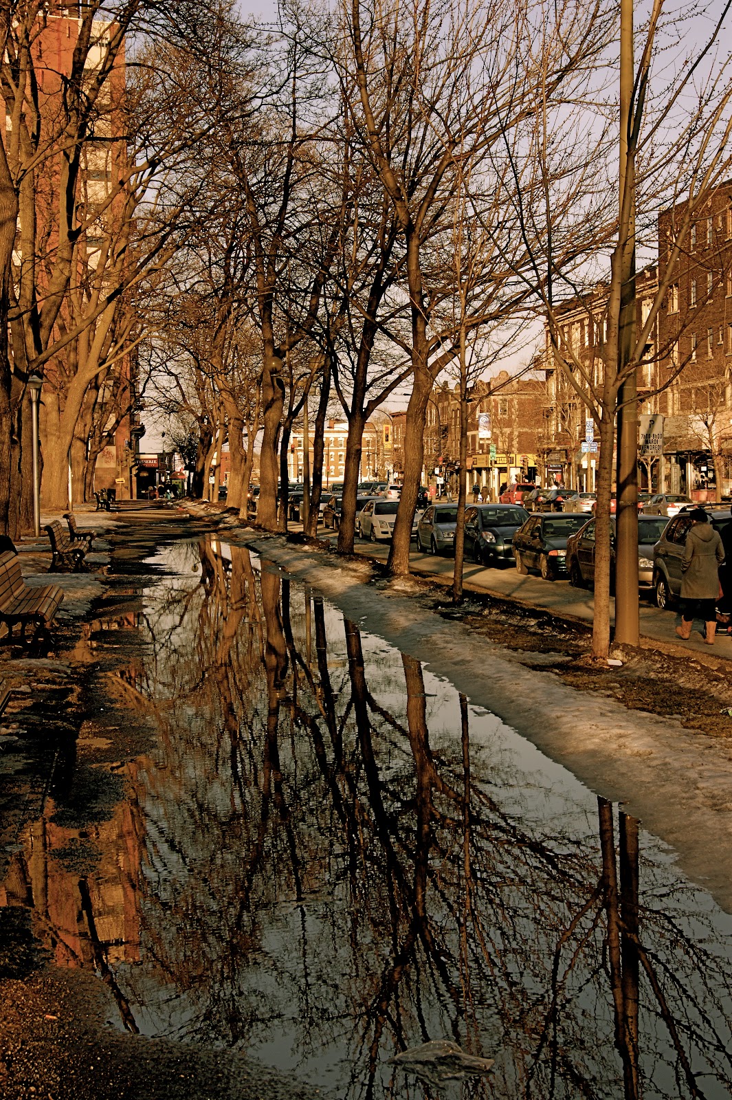 Province canadienne 1 Notre quartier Notre Dame de Grâce à Montréal