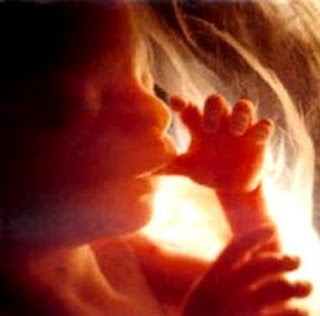 Derecho a la Vida Imagen de un bebé chupándose el dedo