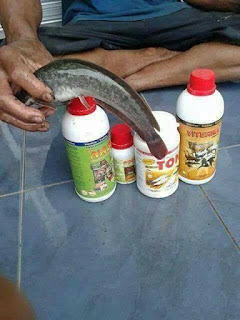 PANDUAN BUDIDAYA IKAN LELE TEKNOLOGY MODEREN PANDUAN BUDIDAYA IKAN LELE TEKNOLOGY MODEREN
