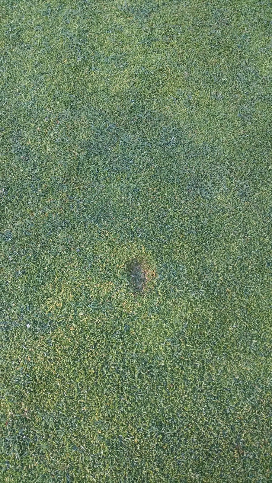 Tee Off With Joe Ball mark repair