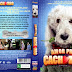 Amor Pra Cachorro