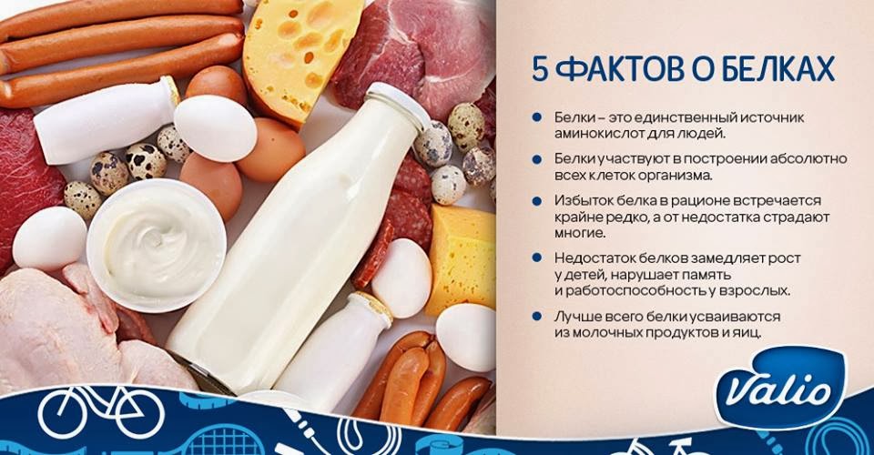 избыток протеина