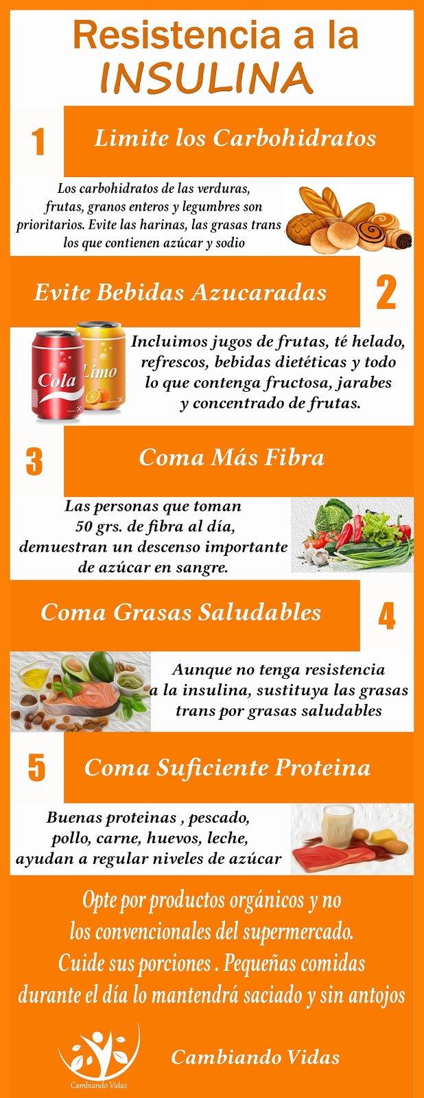 Resistencia A La Insulina