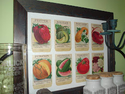 Old Seed Packets