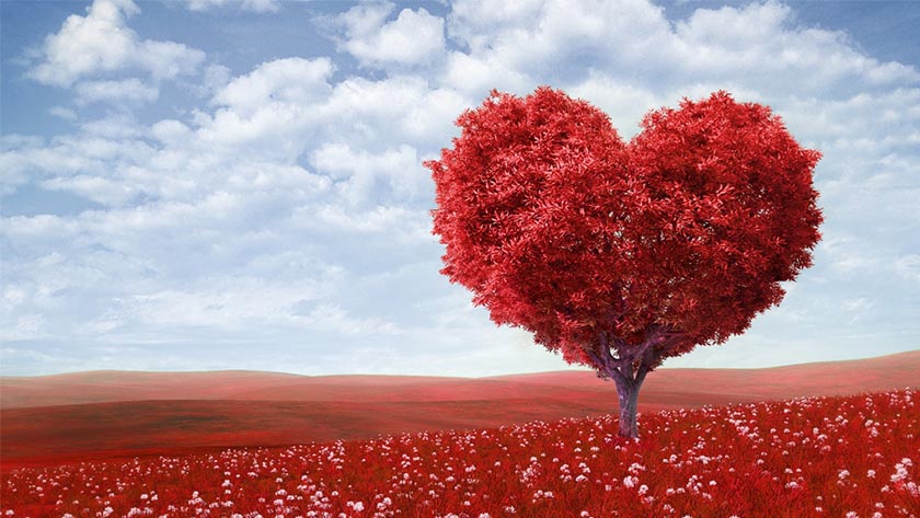 صور عيد الحب 2018 Valentine’s Day صور عيد الحب 2018 Valentine’s Day