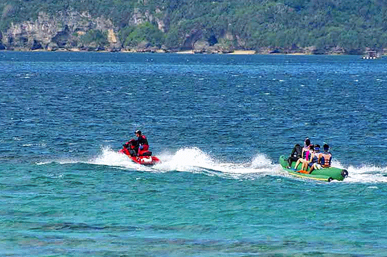 Ryukyu Life Sesoko Beach Images Taken at 420mm Animated GIFs