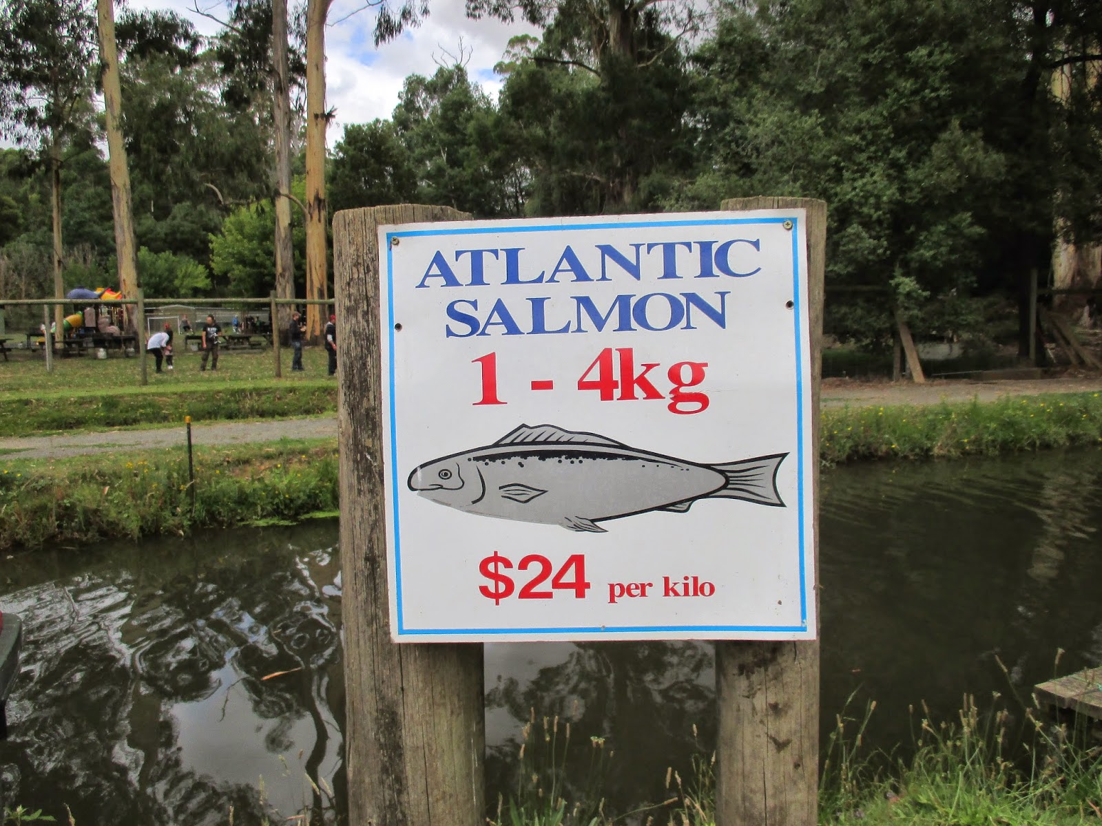 Konted's Make My Day 2 Trout Fishing at Mount Dandenong