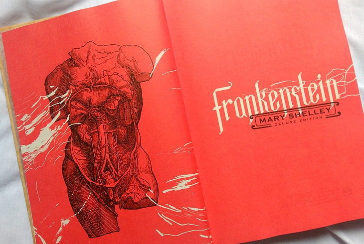 Frankenstein, ou o Prometeu Moderno resenha Frankenstein, resenha Frankenstein, ou o Prometeu Moderno, Frankenstein, ou o Prometeu Moderno Mary Shelley, resenha Mary Shelley, Mary Shelley darkside, Mary Shelley darkside books