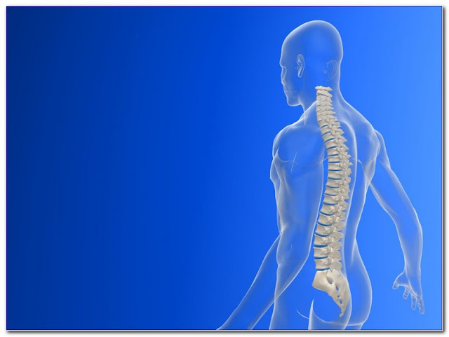 Free Chiropractic Continuing EDUCATION ONLINE