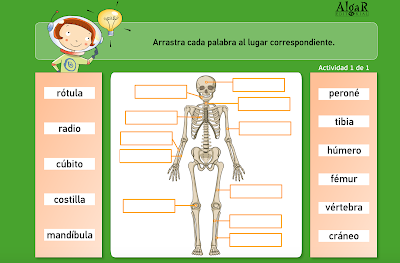 http://www.primerodecarlos.com/TERCERO_PRIMARIA/archivos/actividades_natura_tercero/5/4.swf