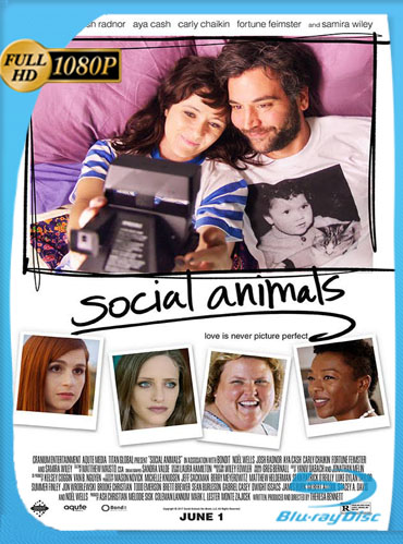 Social Animals (2018) HD [1080p] Latino [GoogleDrive] SXGO
