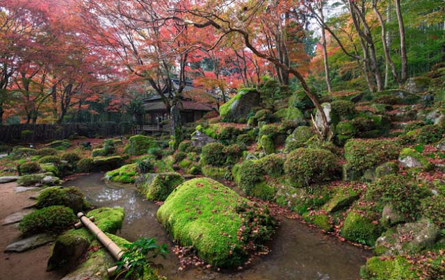 Mt Hiei 15 Recommendation Mountains to Visit in Japan
