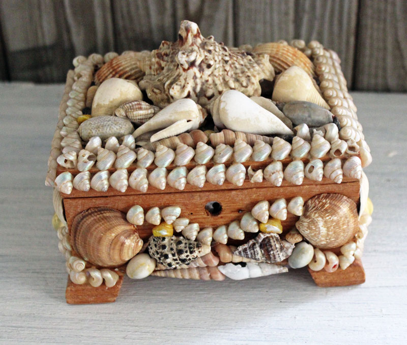 A Fun Collectible...Decorative Shell Boxes... Itsy Bits and Pieces