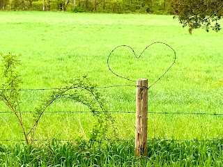 Barbed wire heart on farm fence