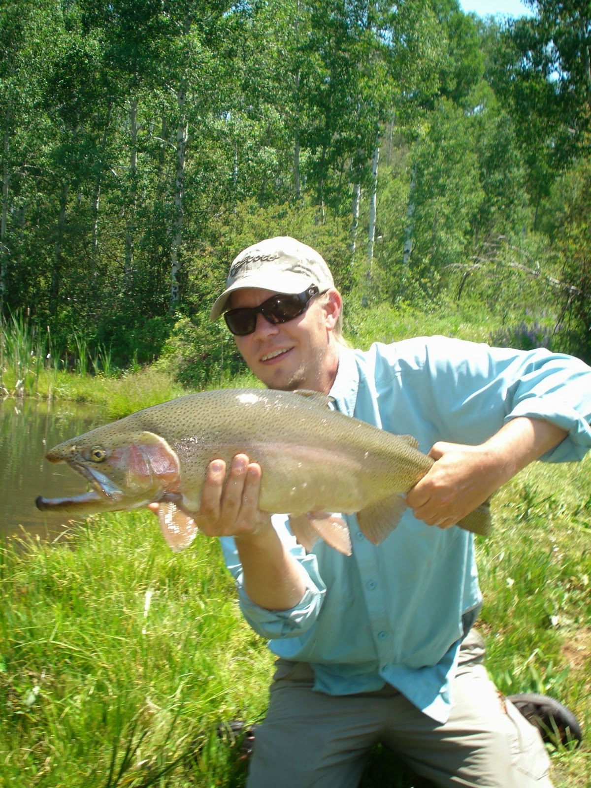 Taylor Creek Flyshop: Bar ZX Ranch
