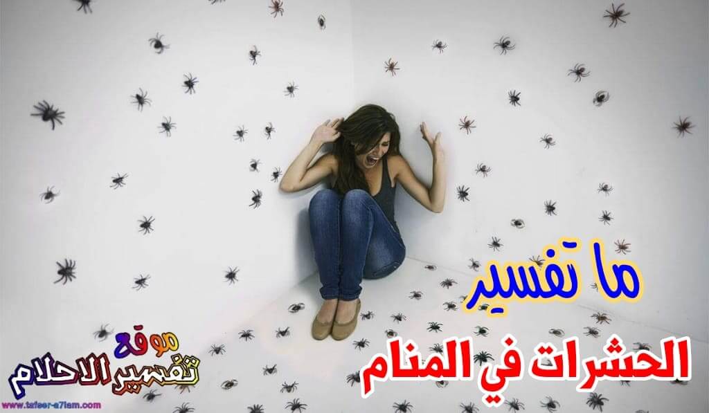 ما هو تفسير الحشرات في المنام ما هو تفسير الحشرات في المنام