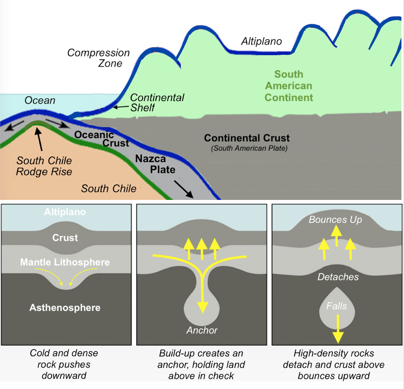 evidence suggests that the altiplano rose in pulses speedy for geologic phenomena through the dripping of dense rock called eclogite from the lower crust evidence suggests that the altiplano rose in pulses speedy for geologic phenomena through the dripping of dense rock called eclogite from the lower crust