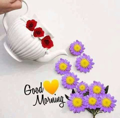 Morning Shayari Morning Shayari