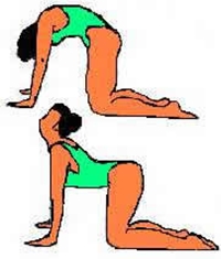 Cara Meninggikan Badan Cara Meninggikan Badan