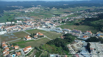 Anadia