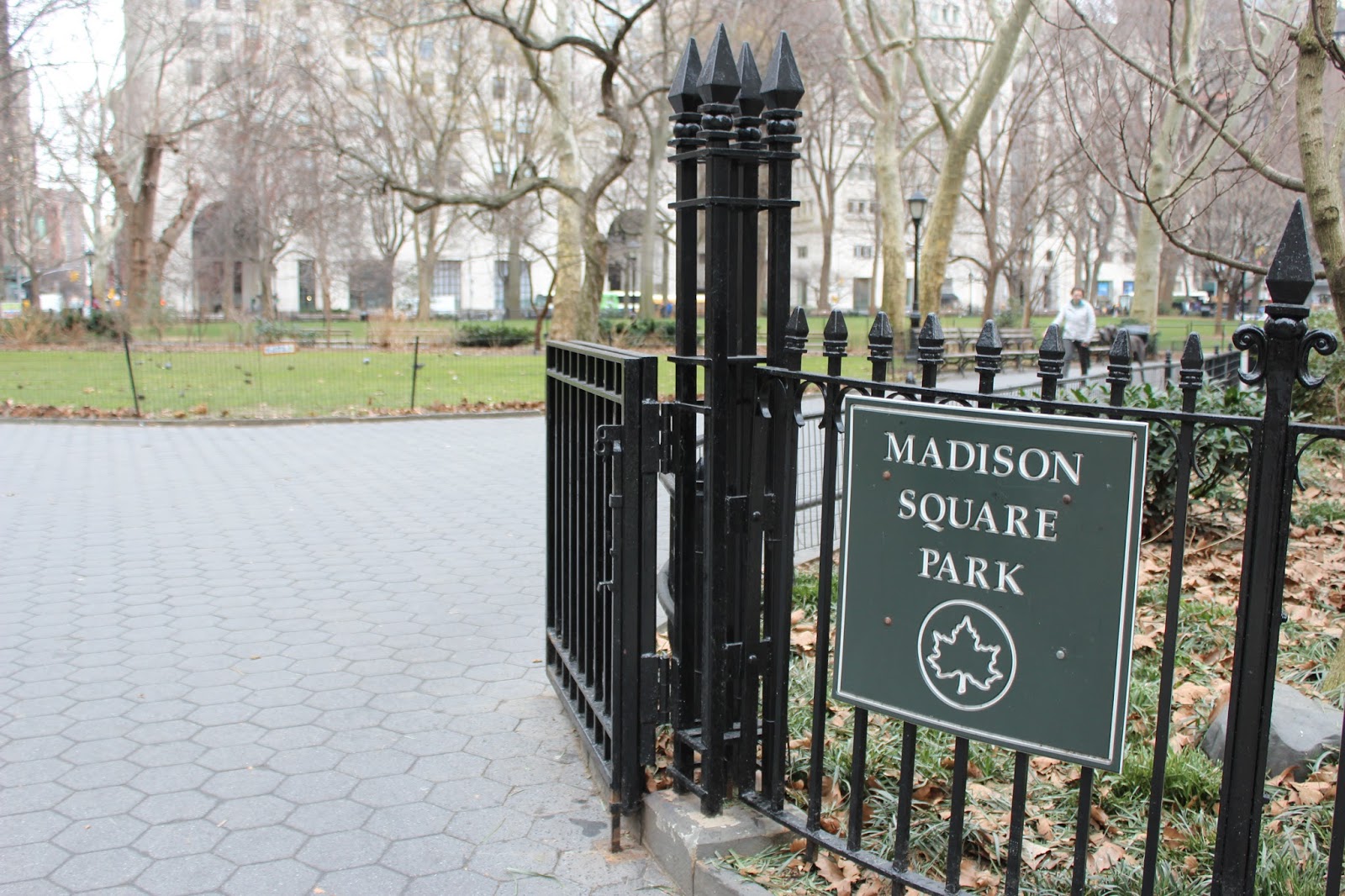 madison square park new york