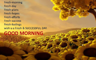 Good Morning Quotes Good Morning Quotes