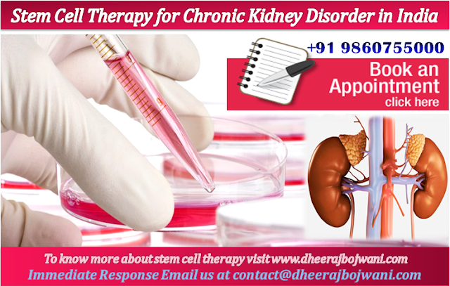 stem cell treatment for diabetes type 2 cost