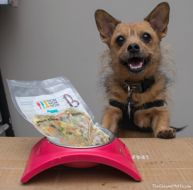 Review Fresh Dog Food Delivered to Your Doorstep with NomNomNow The