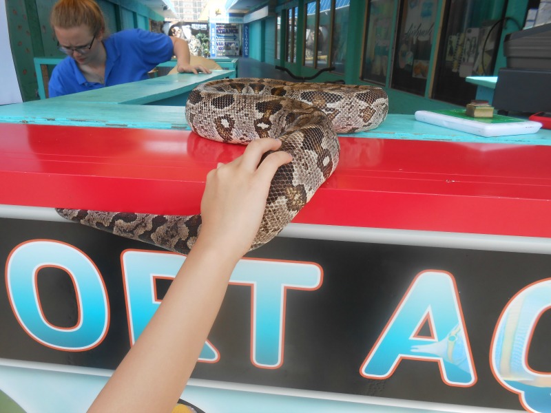 Pennsylvania & Beyond Travel Blog Visiting the Seaport Aquarium in Wildwood