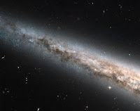 Spiral Galaxy NGC 4565