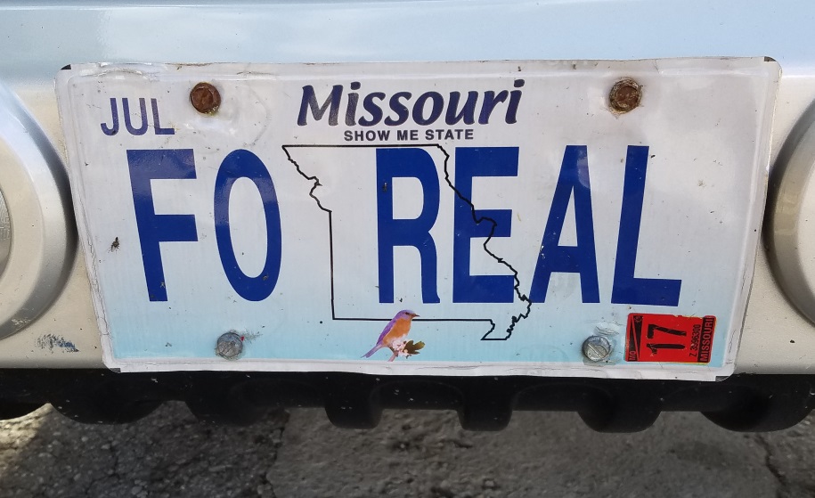 Divinebunbun's Rugged Rural Missouri Mo License Plates