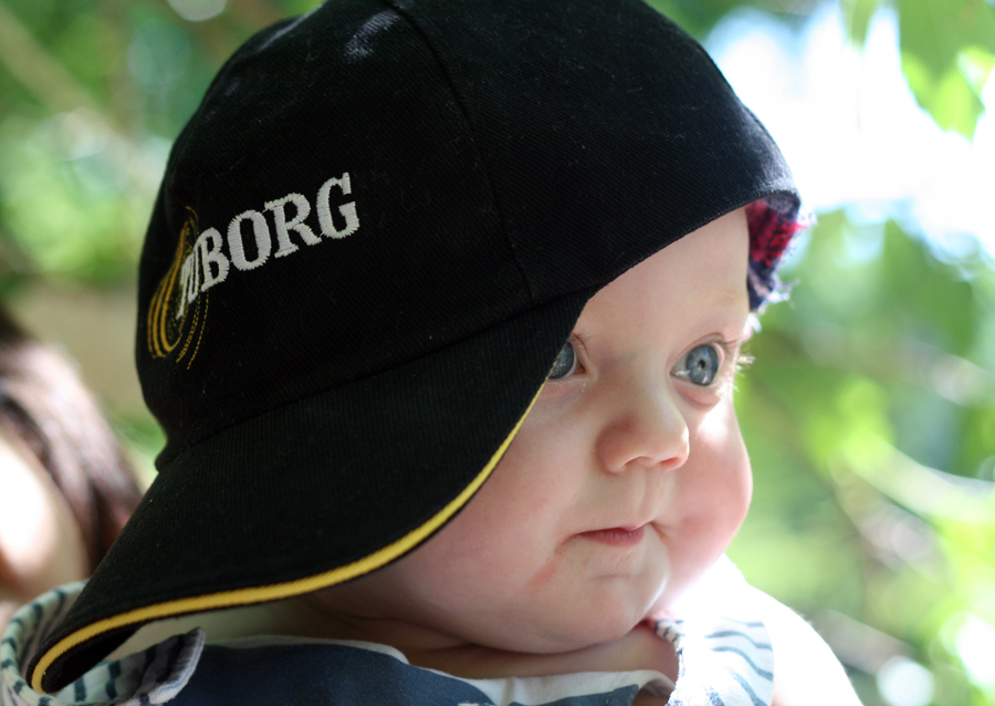 Sunny boy. Sunny boy