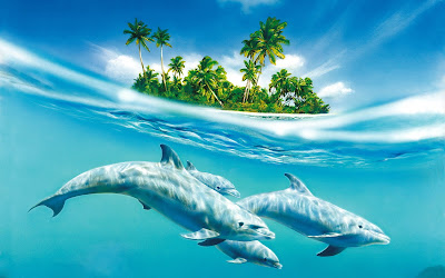 Delfines en el Océano junto a la isla