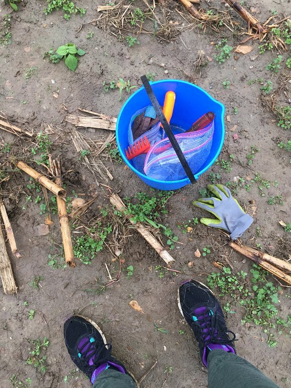 Dishfunctional Designs A Rockhound's Crystal Hunting Field Trip