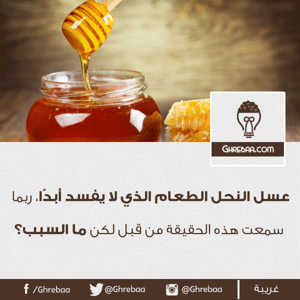 لماذا عسل النحل لا يفسد أبدًا؟! غريبة