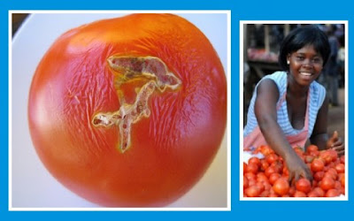 tomatoes%2Band%2Bwoman