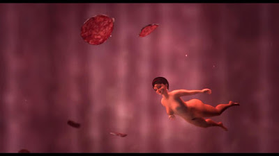 Rosette%2BVimeo.mp4 snapshot 02.35 %255B2014.01.22 10.13.39%255D