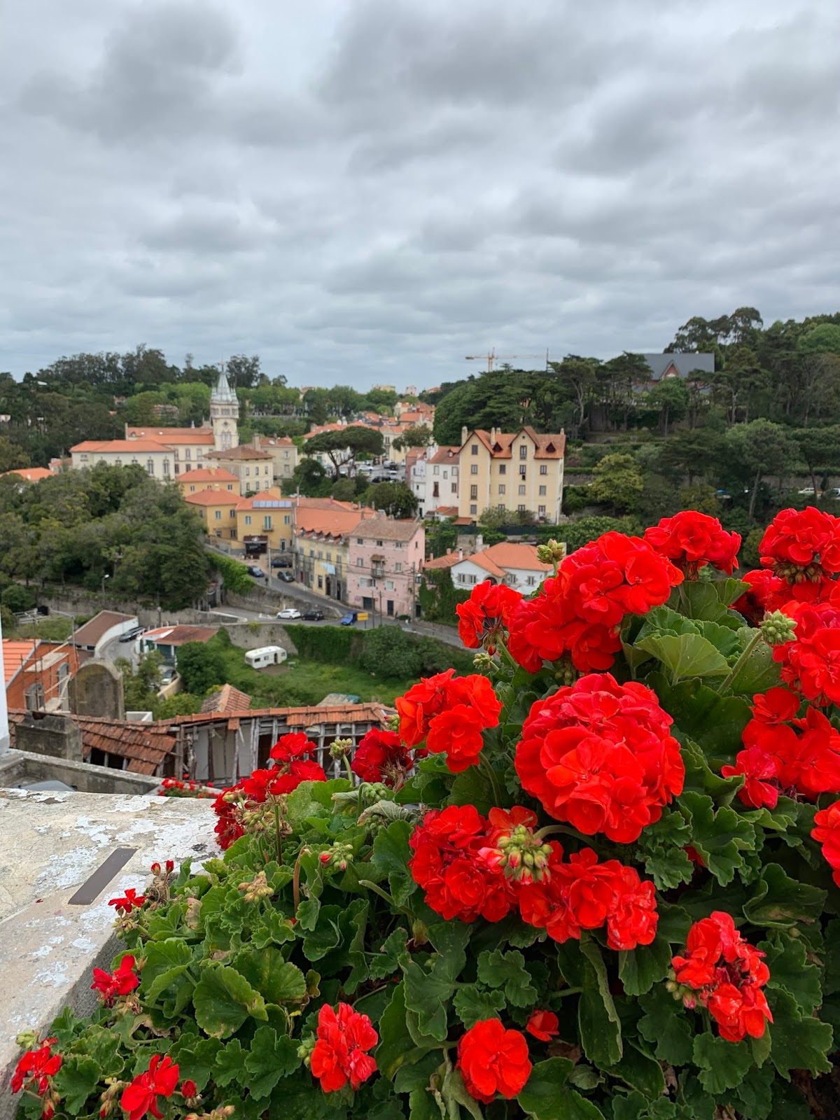 Travel // Cascais Part Two, Sintra {AD with Visit Cascais} Roses and