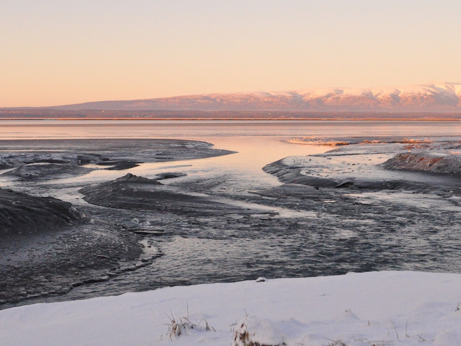 Heart Alaska